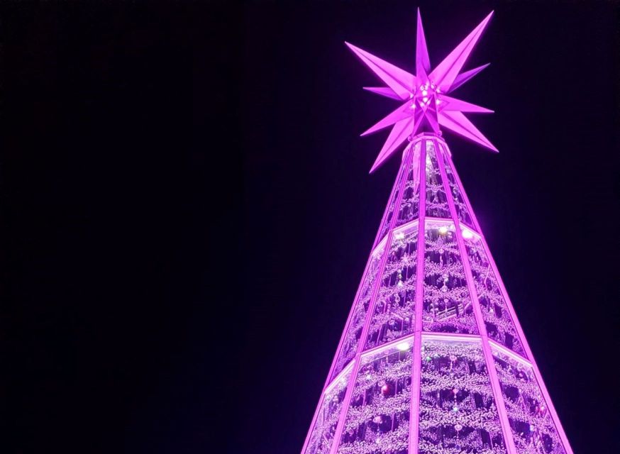 Innsbruck: Christmas Tour with a licensed guide - Timing, clothing, and winter comfort