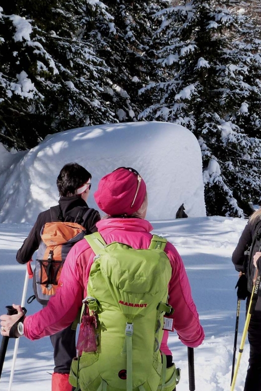 Innsbruck: Priv. Guided Snowy Mountain Hike /Snowshoe´s - Key points to know before booking