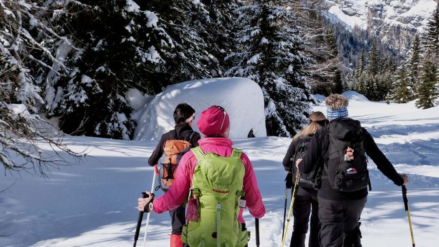 Innsbruck: Priv. Guided Snowy Mountain Hike /Snowshoe´s - Hafelekar for high views above Innsbruck
