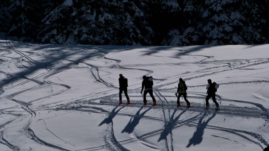 Innsbruck: Priv. Guided Snowy Mountain Hike /Snowshoe´s - Is $583 good value for this mountain experience?
