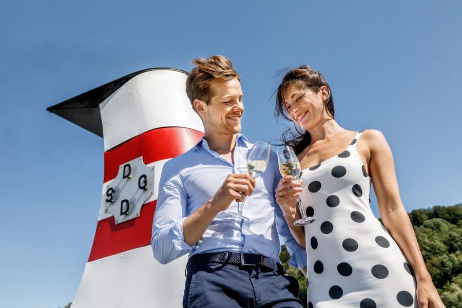 Krems: Wachau Valley River Cruise with 3-Course Meal - The first stretch, vineyards above the Danube