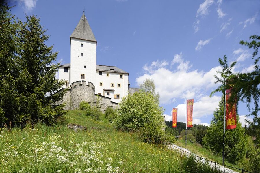 Mauterndorf: Castle Entrance Ticket - Why Mauterndorf Castle feels different from a quick castle stop