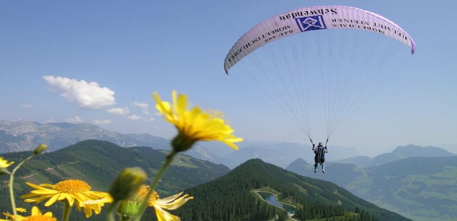 Mayrhofen: Paragliding Flight Experience Over Mountains - Landing safely back at the activity base