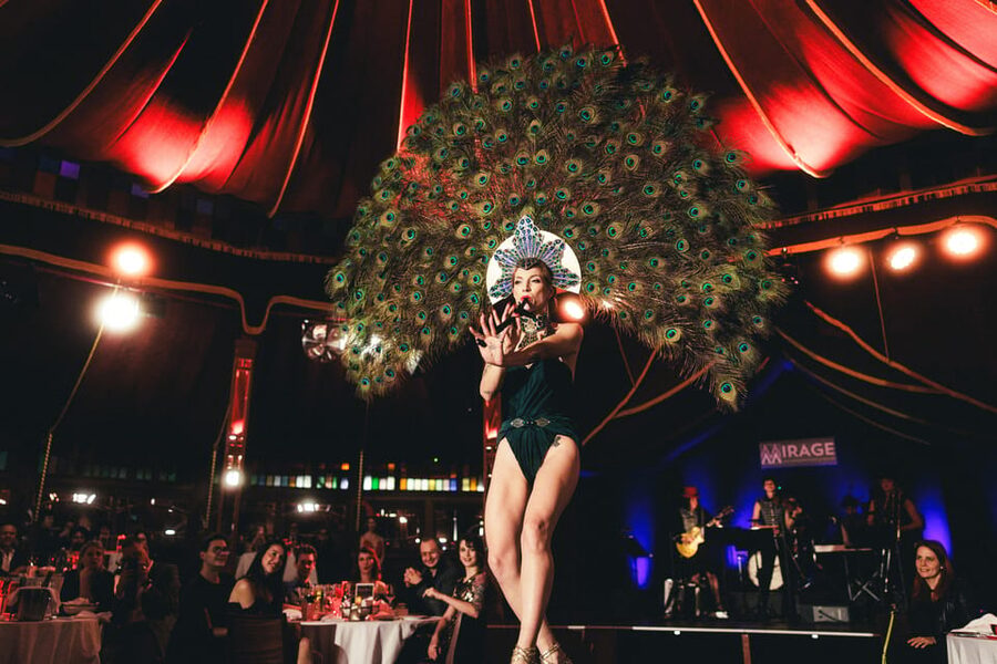 Mirage Vienna: Burlesque Spectacular – Dinner Show - What kind of Vienna night is this?