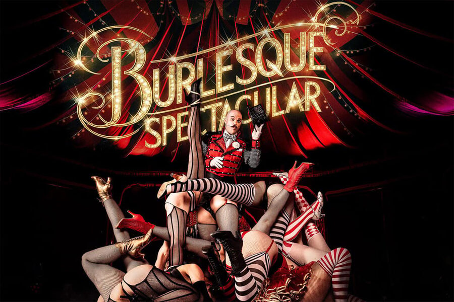 Mirage Vienna: Burlesque Spectacular – Dinner Show - Three acts, four courses, and a steady pace