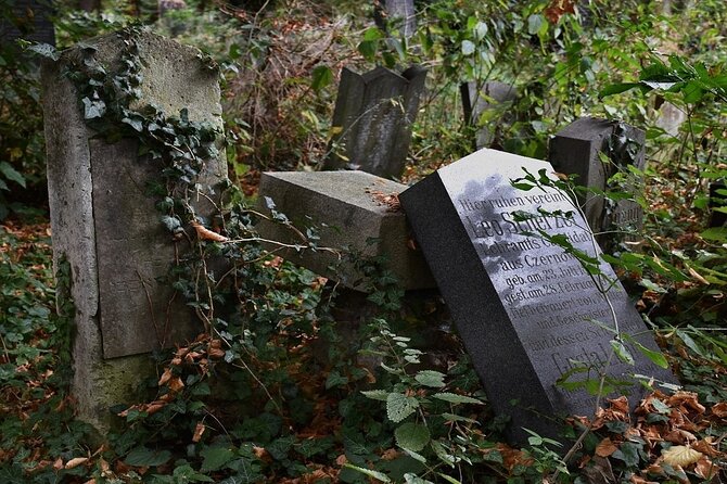Mobile puzzle rally tour at the Vienna Central Cemetery - Key points to know before you go