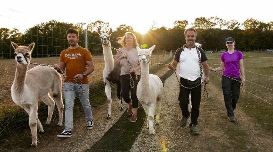 Mödling/Vienna: Scenic Guided Hike with Alpacas and Llamas - Why this Mödling walk is worth your time