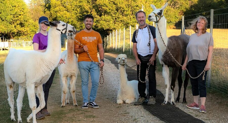 Mödling/Vienna: Scenic Guided Hike with Alpacas and Llamas - The return walk and the final certificate