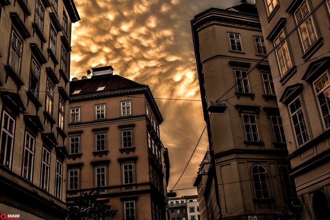 Mystery rally Vienna: The scary city - What the $42.01 price really includes
