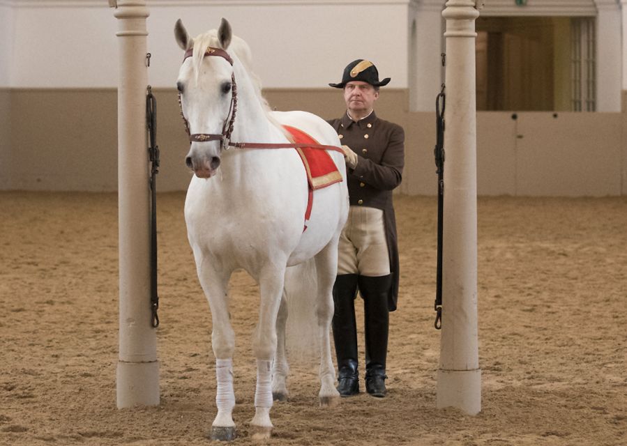 Performance Of The Lipizzans At Spanish Riding School - How lighting and music shape the performance