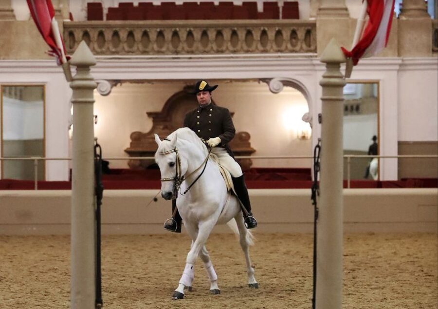 Performance Of The Lipizzans At Spanish Riding School - Practical ticket pickup at Michaelerplatz