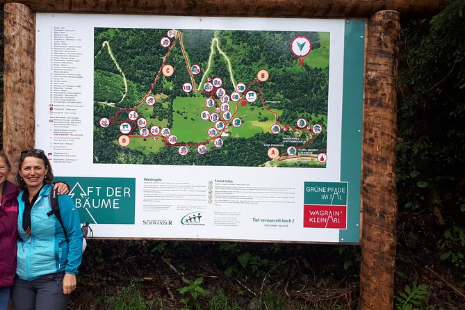 Power of Trees Private Tasting Tour - What the experience does best