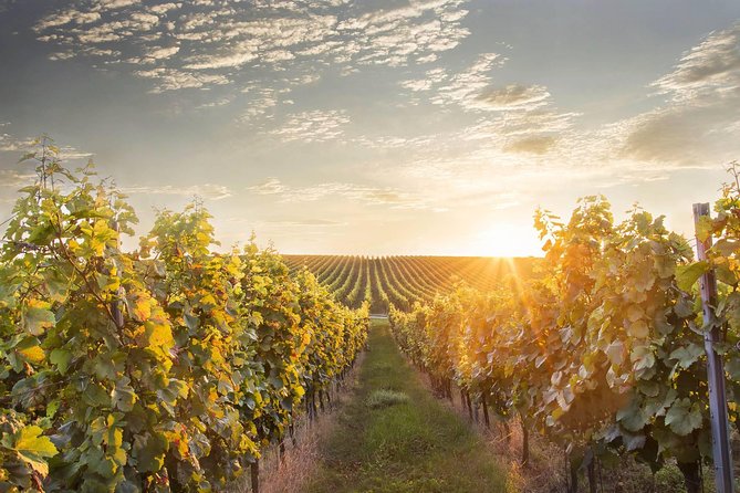 Prague-Vienna One-Way Sightseeing Day Tour - Why this transfer works better than a straight train ride
