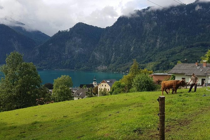 Private Day Trip from Vienna to Hallstatt - What the private vehicle changes