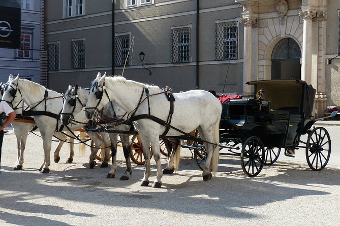 Private full day tour to Salzburg from Vienna with a local guide - Mirabell Palace and gardens