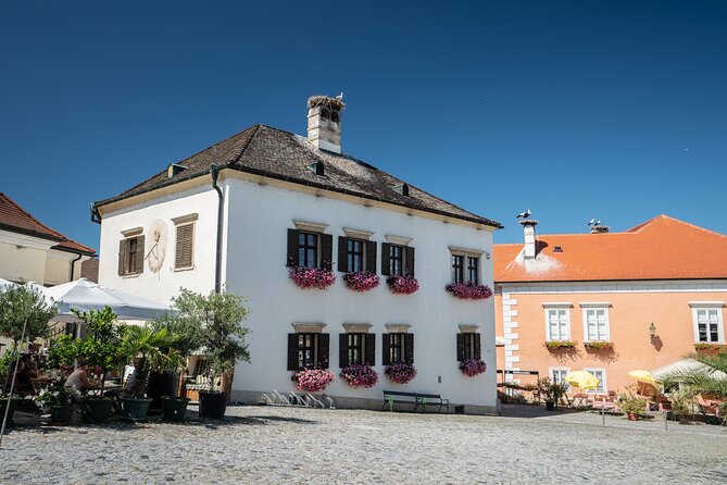 Private Guided Full Day Tour to charming Burgenland region with Wine tasting - The private vehicle and 9:30 am start