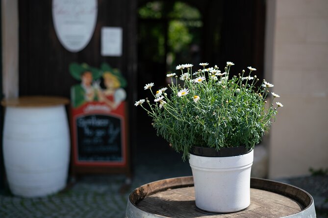 Private Guided Full Day Tour to charming Burgenland region with Wine tasting - Is $384.44 per person a fair value?