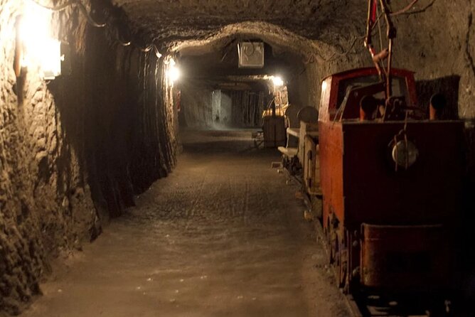 Private guided tour from Vienna to Hallstatt with Skywalk & Salt Mine Experience - The return to Vienna and the real cost of convenience