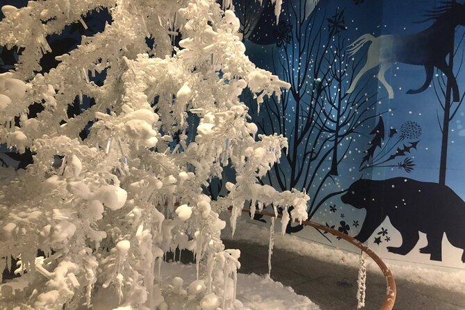 Private Half-day Tour to Swarovski Crystal World in Wattens - Who should book this Wattens tour?