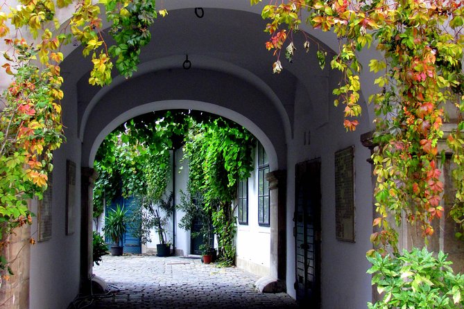 Private Hidden Vienna Walk — Stories Behind Quiet Corners - Schönlaterngasse, the basilisk, and an old schnitzel address