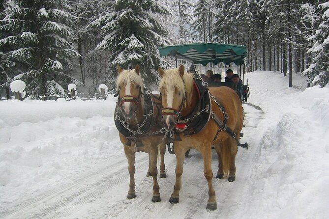 Private Horse-Drawn Sleigh Ride from Salzburg - Key details before you book