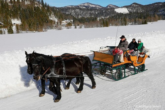 Private Horse-Drawn Sleigh Ride from Salzburg - From Salzburg to the mountain air