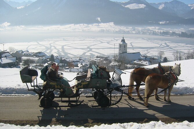 Private Horse-Drawn Sleigh Ride from Salzburg - The private format and what it really buys you