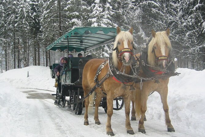 Private Horse-Drawn Sleigh Ride from Salzburg - Stops, warm drinks, and small extras