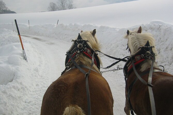 Private Horse-Drawn Sleigh Ride from Salzburg - St. Wolfgang, Faistenau, and the route question