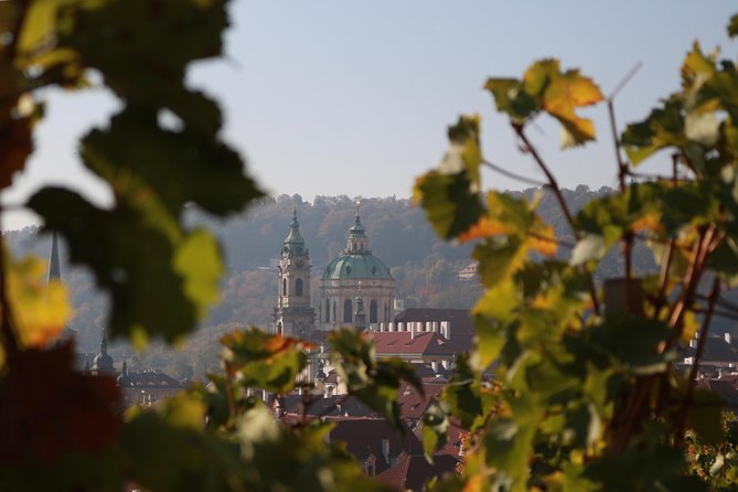 Private Scenic Transfer from Salzburg to Prague with 4h of Sightseeing - Sedan, MPV, or van: choose carefully