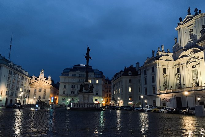Private Spooky Vienna Ghost Tour - The Plague Column and Vienna’s fear of disease