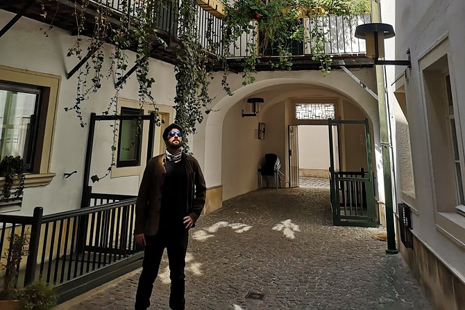 Private tour of historical Vienna with Jan - Stadtpark And The Ringstrasse