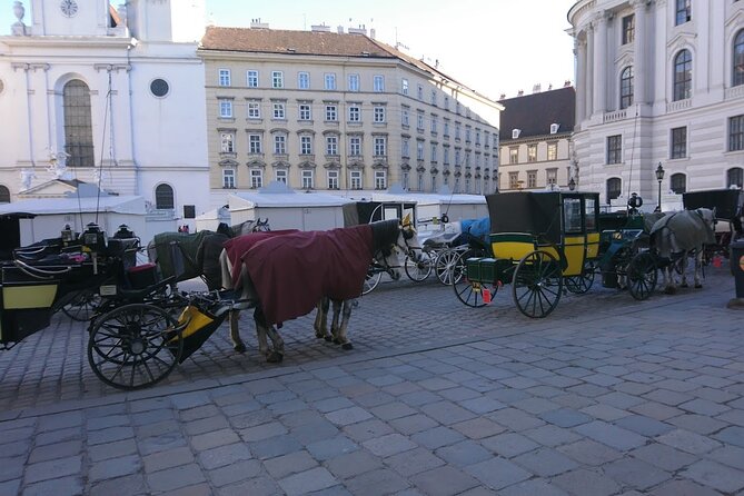 Private Transfer from Venice to Vienna or Vienna to Venice - Arriving in Vienna with pickup where you need it