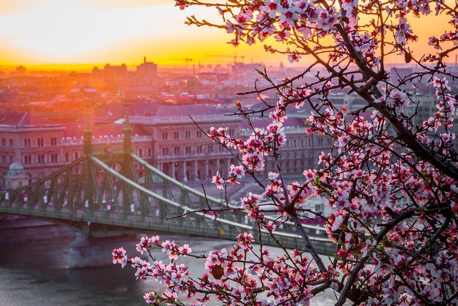 Private Transfer from Vienna to Budapest with 2 hours for sightseeing - The vehicle and luggage question