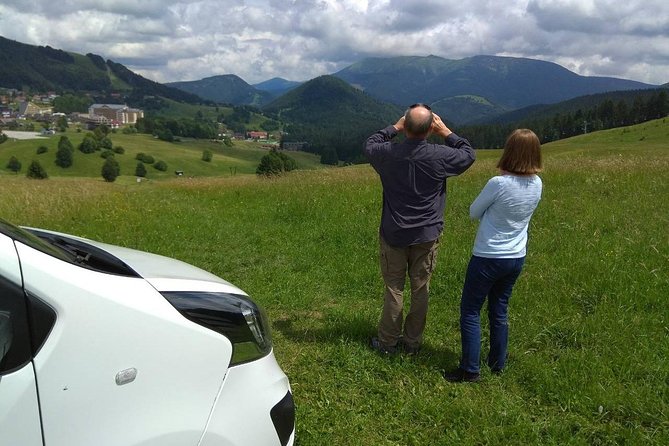 Private transfer in a Sanitized Car Prague to Vienna with 2h stop Cesky Krumlov - Accessibility, luggage, and comfort
