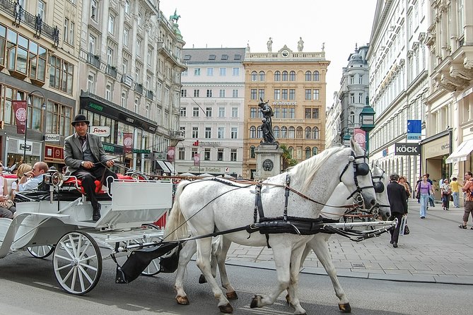 Private Vienna City Tour with Schonbrunn Palace Visit - Key points to know before booking