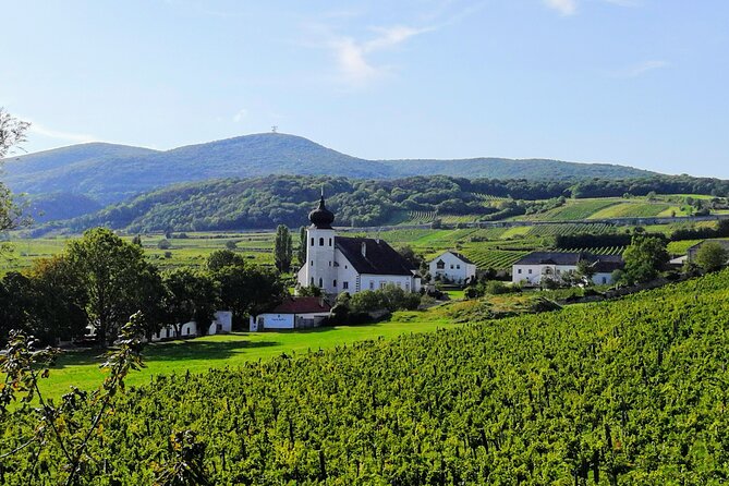 Private Vienna Woods Wine Tour - Summer: Baden, forest trails, and a wide Vienna Basin view