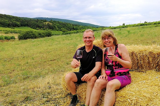 Private Vienna Woods Wine Tour - Who should book this Vienna wine tour?