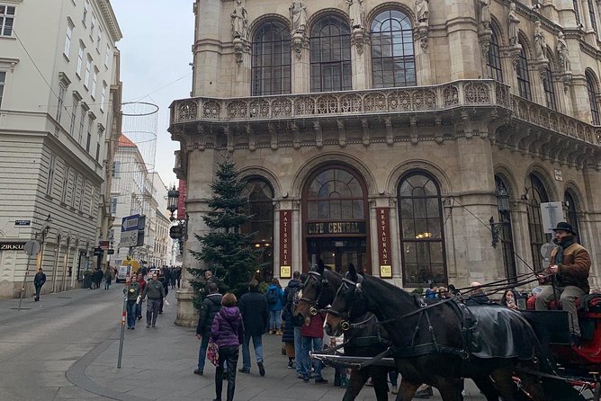 Private World War II Walking Tour in Vienna - Jewish Square and the Memory of Jewish Vienna