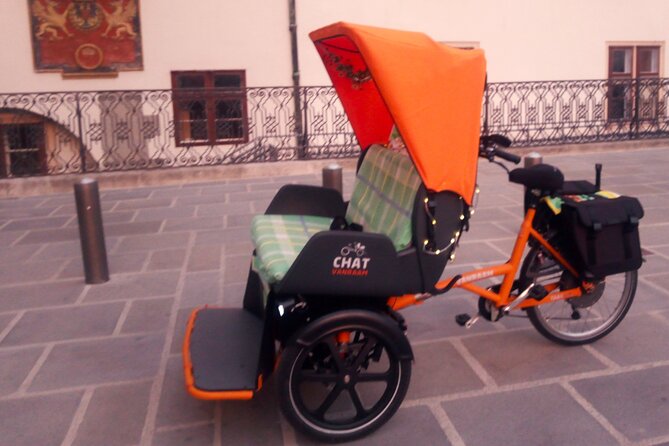 RAXI (E-Rickschaw) big private Vienna tour - What the RAXI Ride Feels Like