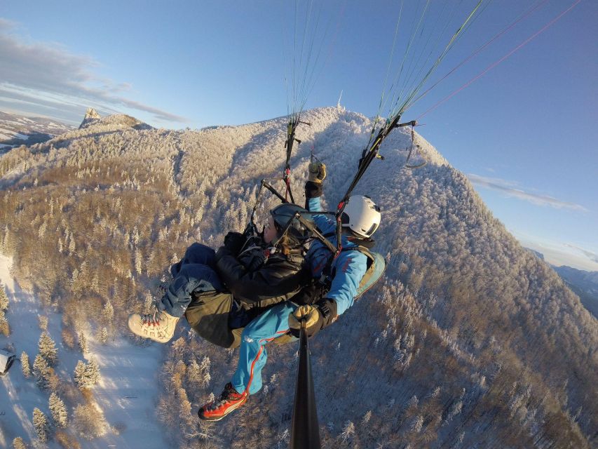 Salzburg like an eagle: tandem paragliding from Gaisberg - Reaching Gaisberg from Salzburg by bus