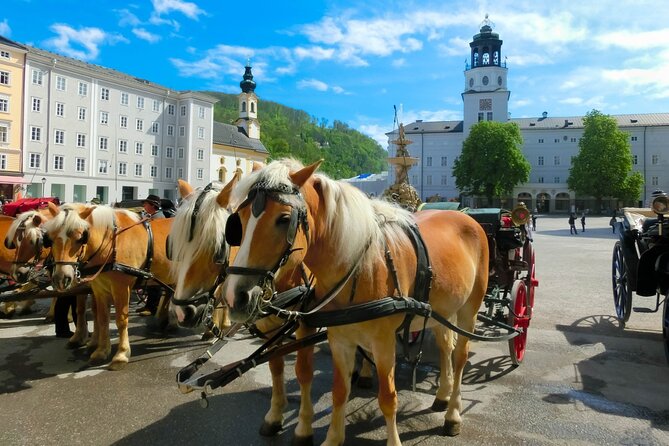 Salzburg: Small-Group Day Trip from Vienna - Why this Salzburg trip works from Vienna