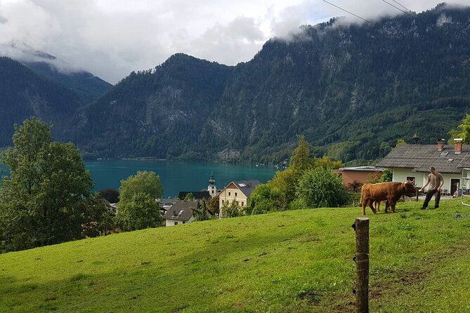 Salzburg: Small-Group Day Trip from Vienna - St. Gilgen and Lake Wolfgangsee bring the movie connection
