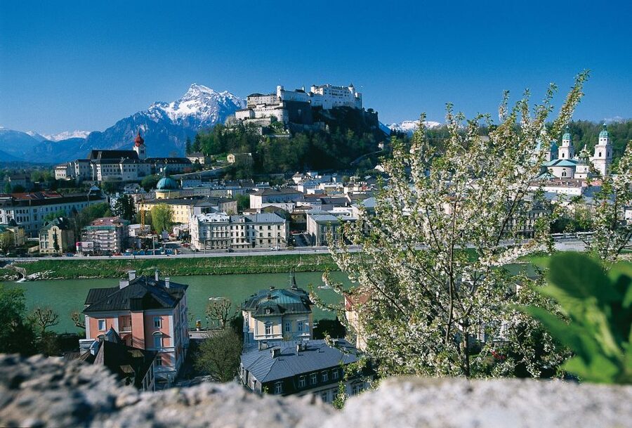Salzburg: Sound of Music Private Half-Day Tour - Key points to know before you book