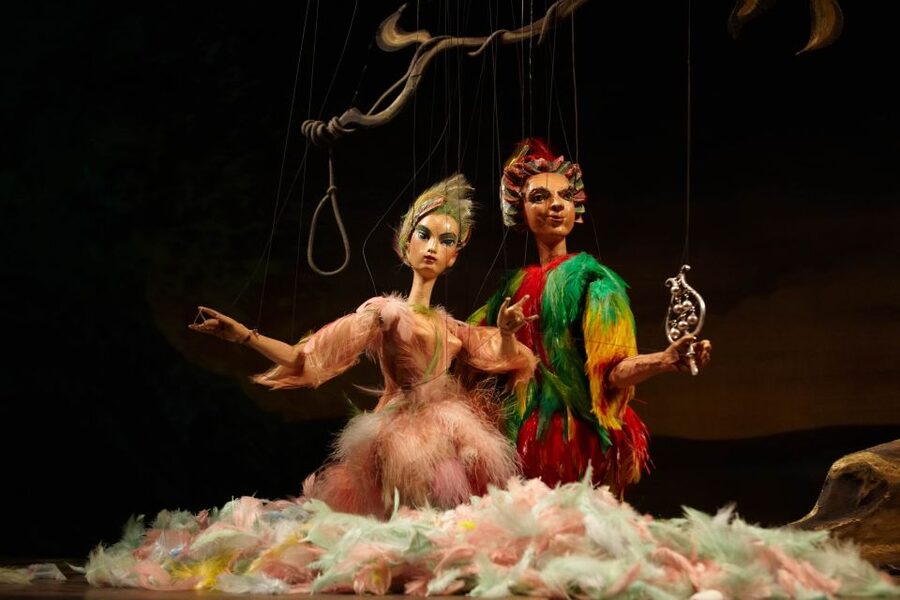 Salzburg: The Magic Flute at Marionette Theater Ticket - Is $38 a fair price?