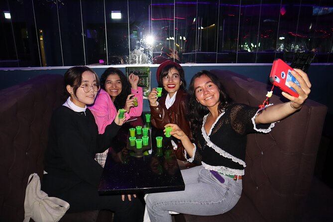 Saturday Night Pub Crawl for Professionals in Vienna, Austria - Key points at a glance