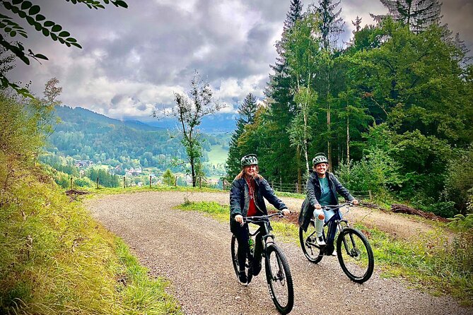 Scenic Innsbruck City and Mountain eBike Tour - The Guide’s Role in Making the Ride Work