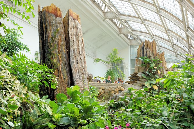 Schmetterlinghaus - Imperial Butterfly House Vienna Admission Ticket - How long the visit really takes