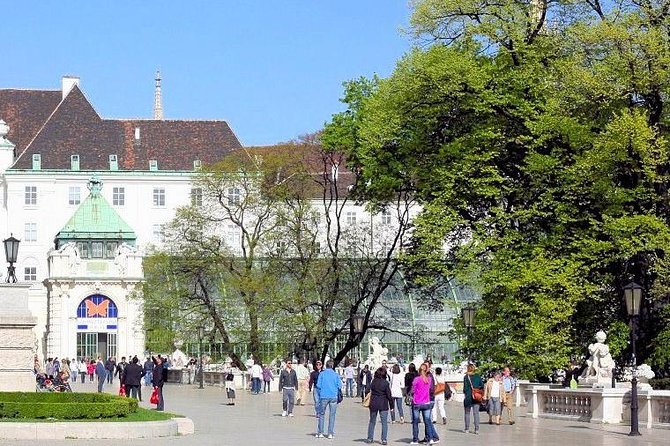 Schmetterlinghaus - Imperial Butterfly House Vienna Admission Ticket - Heat, humidity, and crowds