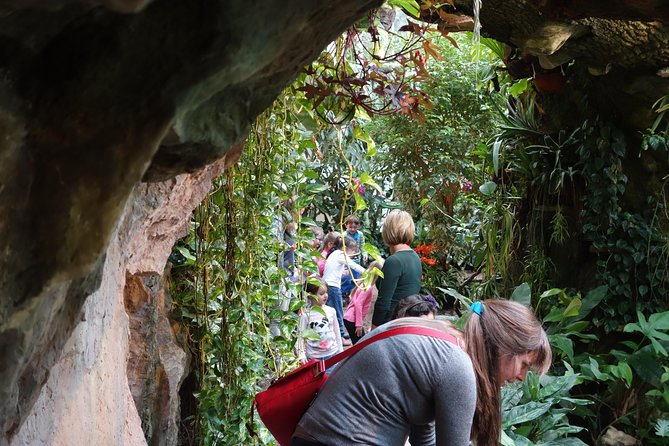 Schmetterlinghaus - Imperial Butterfly House Vienna Admission Ticket - Location and combining it with Vienna sights